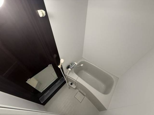 バス