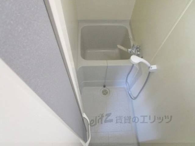 バス