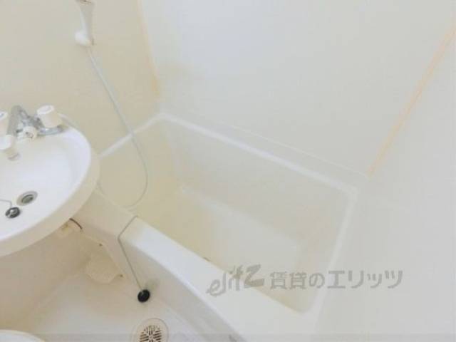 バス