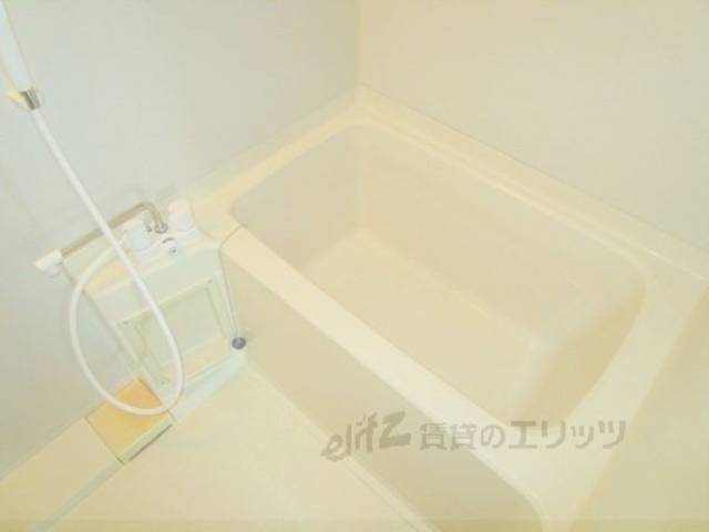 バス