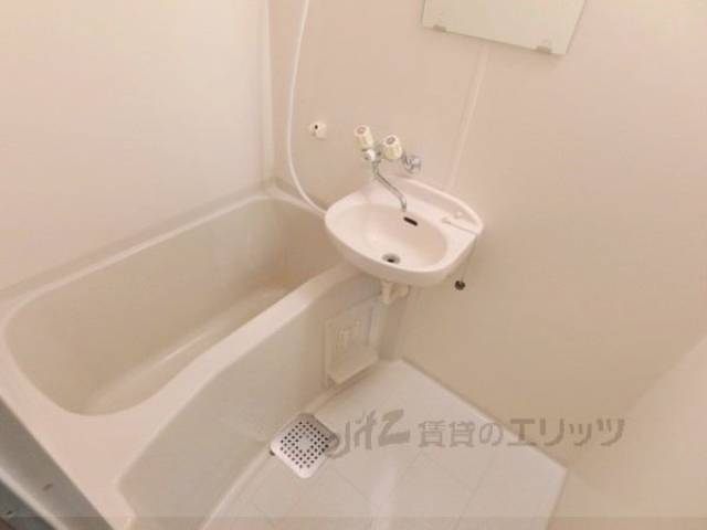 バス