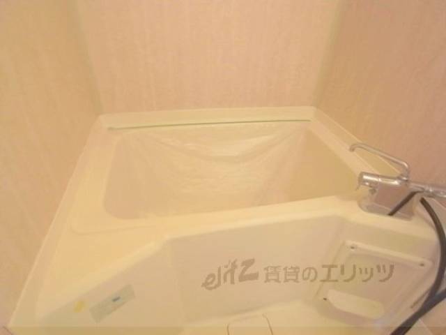 バス