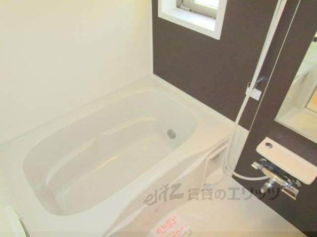 バス
