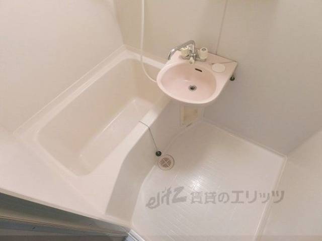 バス