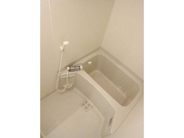 バス