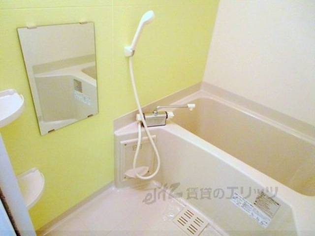 バス