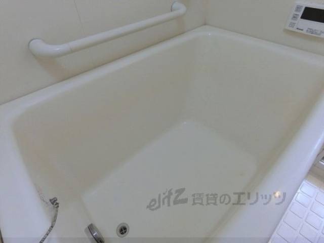 バス