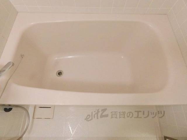 バス