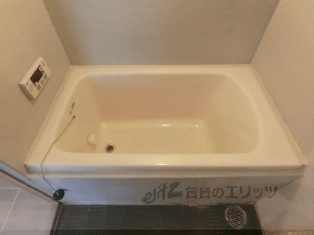 バス