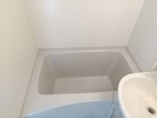 バス