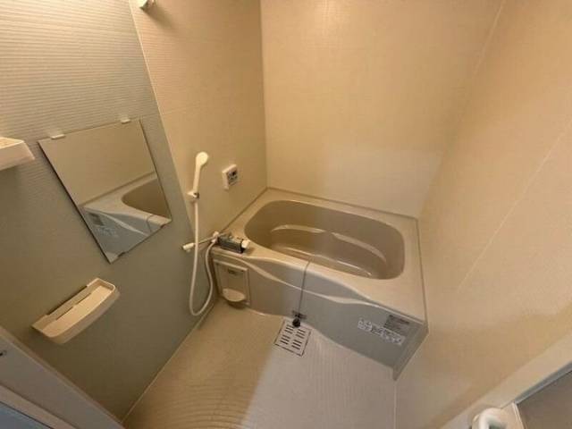 バス