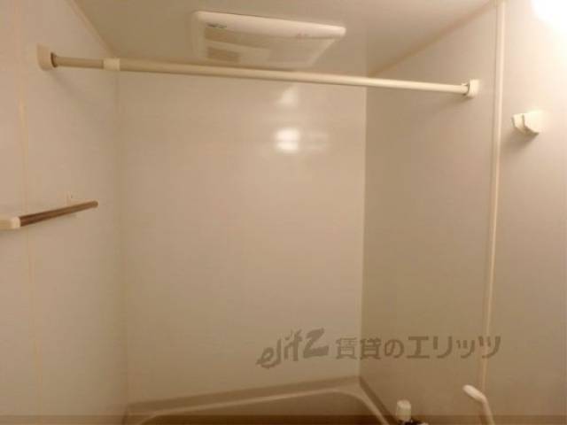 バス