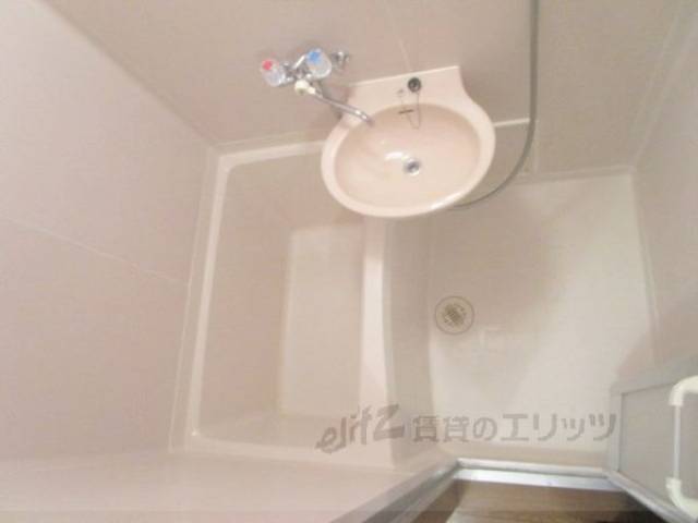 バス