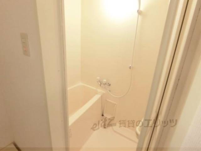 バス