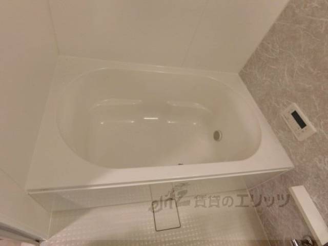 バス