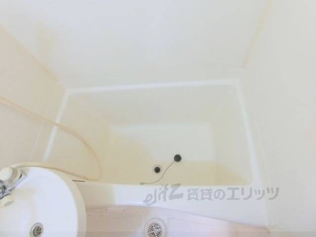 バス