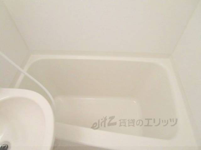 バス