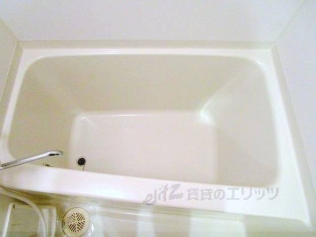 バス