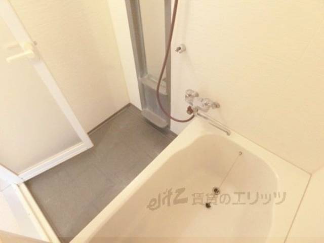 バス