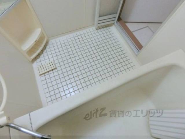 バス