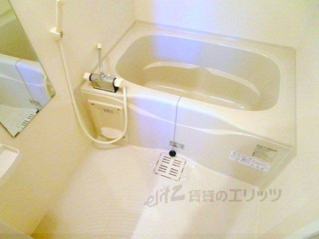 バス