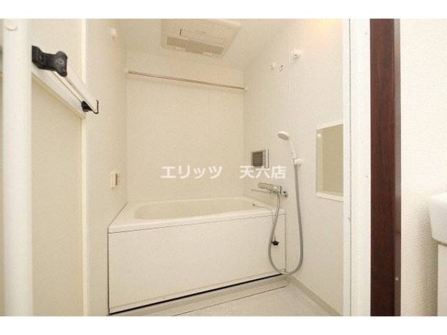 バス