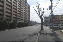 光マンション室内写真1