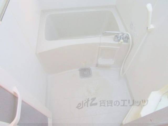 バス