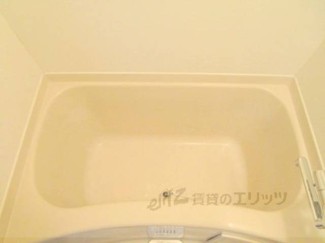 バス