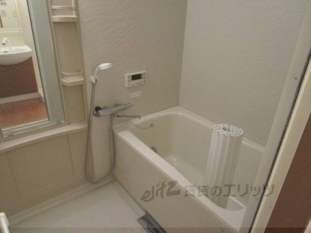 バス