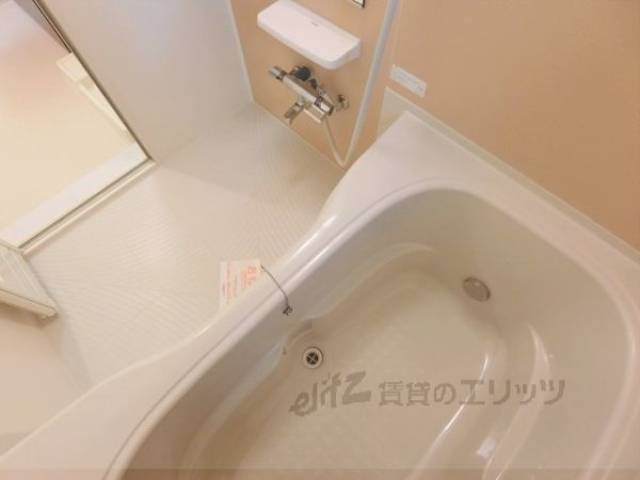 バス
