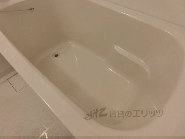 バス