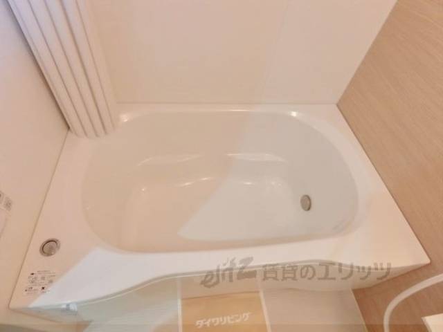 バス