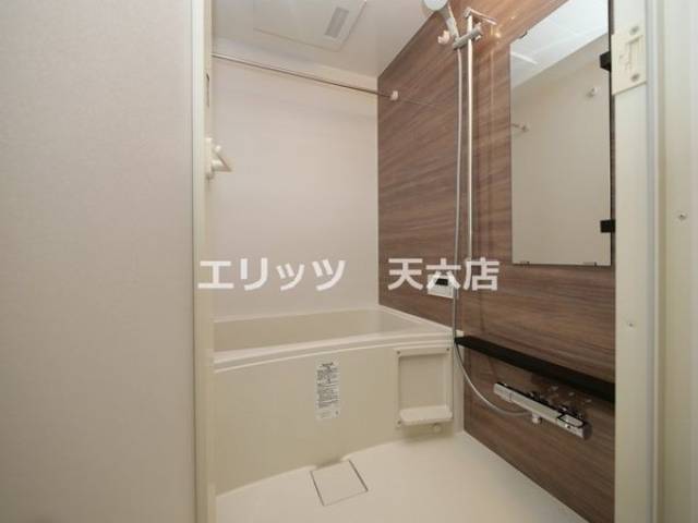 バス