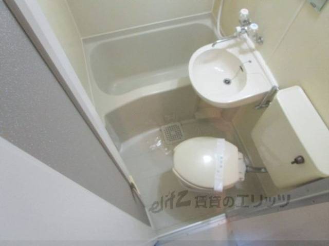バス