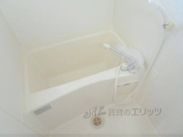 バス