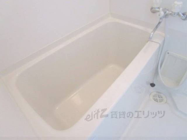 バス