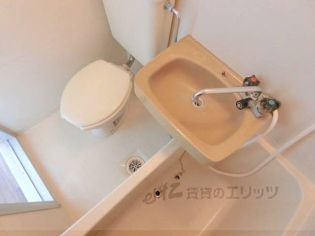 バス