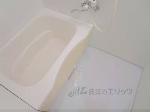 バス