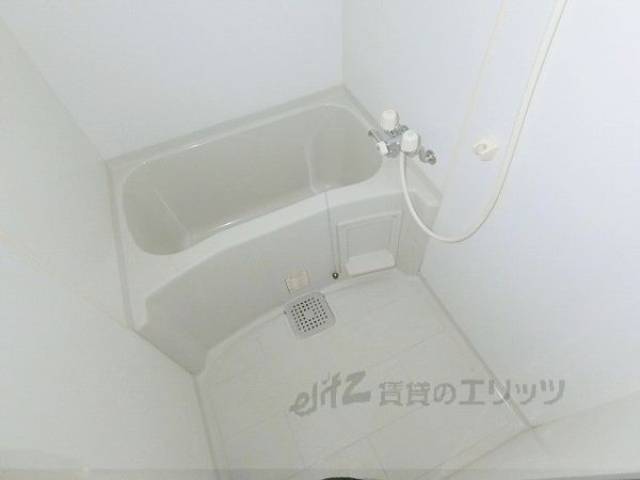 バス