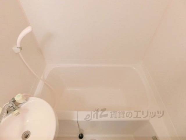 バス