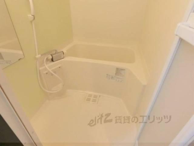 バス