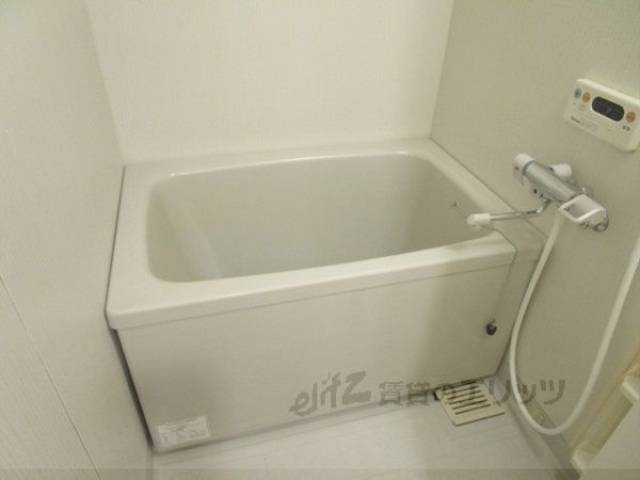 バス