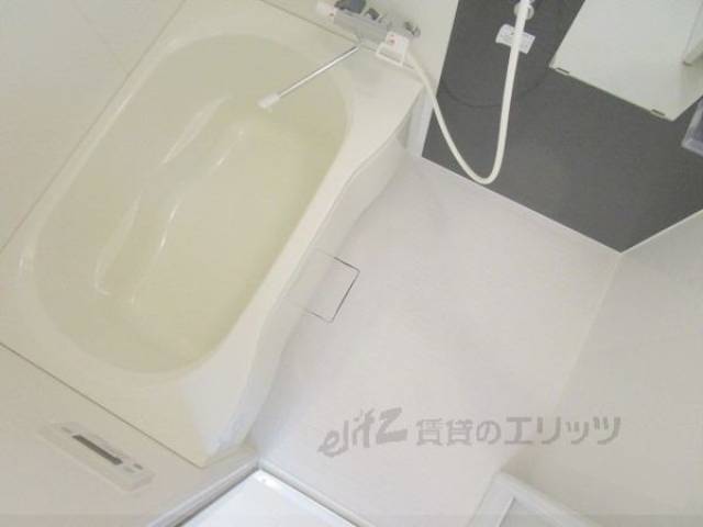 バス