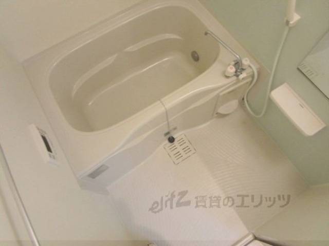 バス