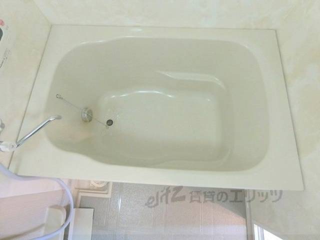 バス