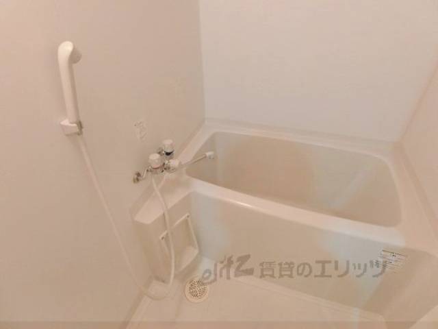 バス