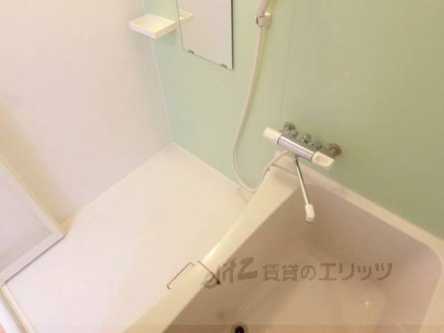 バス