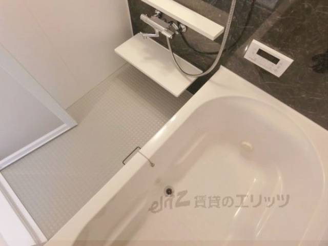 バス