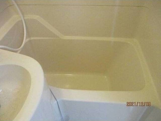 バス